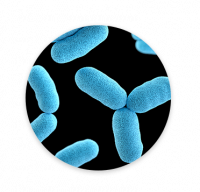 abioxir-nuisibles-rond-bacterie